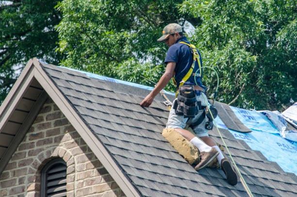 Best Storm Damage Roof Repair  in Kentwood, LA